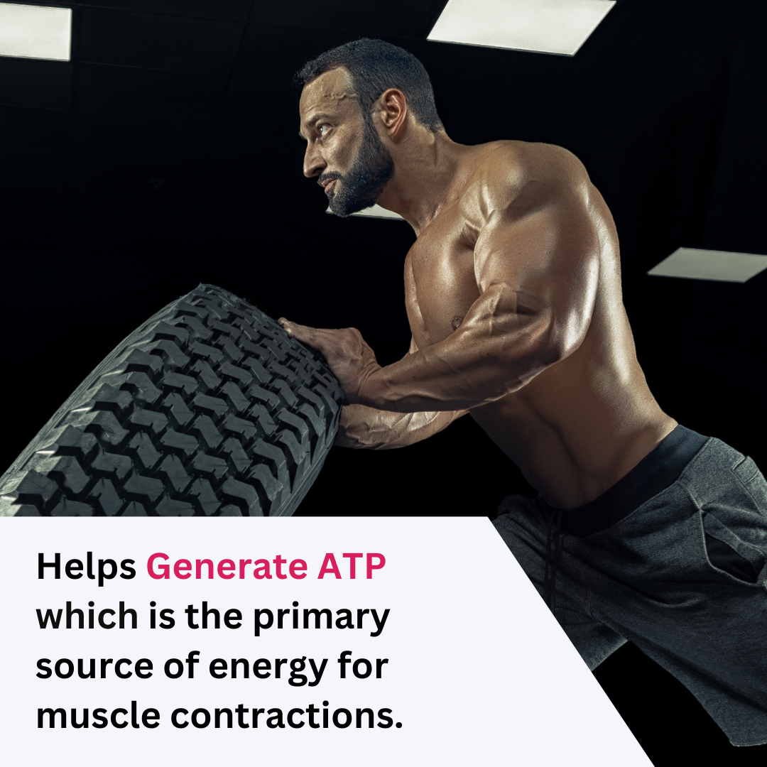 Healthy You Creatine Micronised