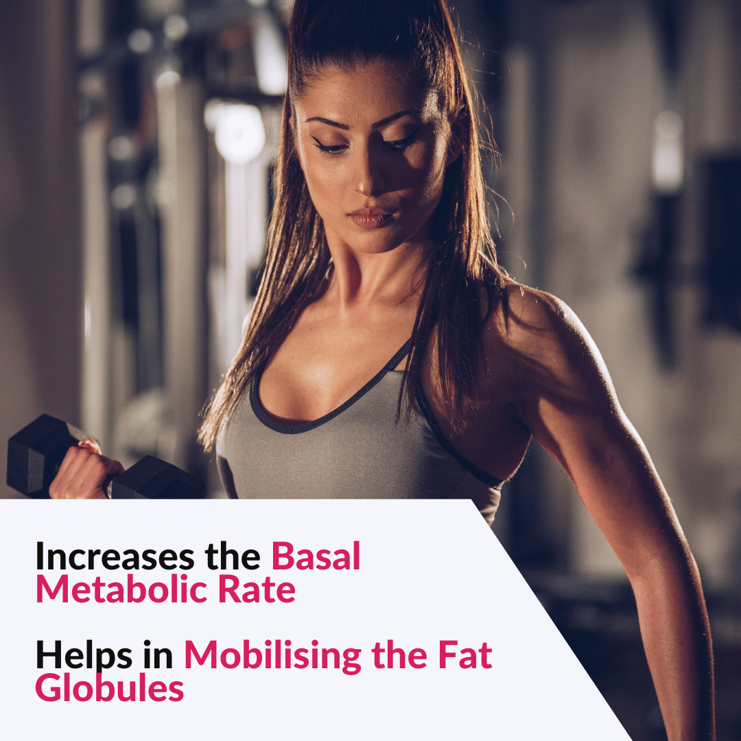 Healthy You Fat Burner