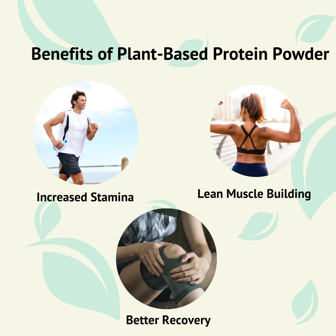 Healthy You Plant Protein– Gut friendly and Vegetarian Protein