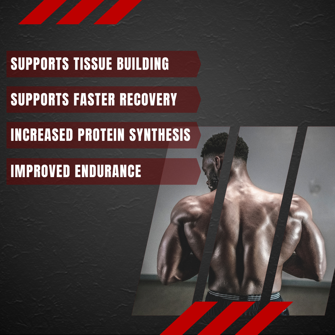 Healthy You Mass Gainer Double Excel